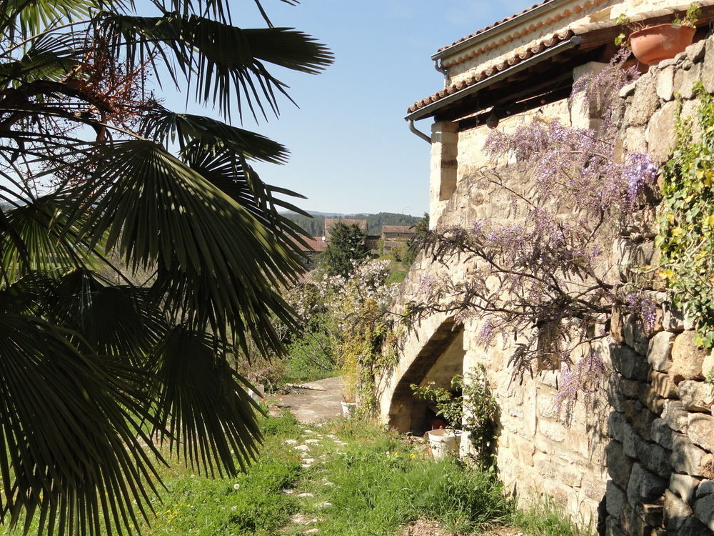 Chambre D'Hotes Au Creux Du Chambon Joyeuse Buitenkant foto